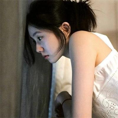 盗贼生涯